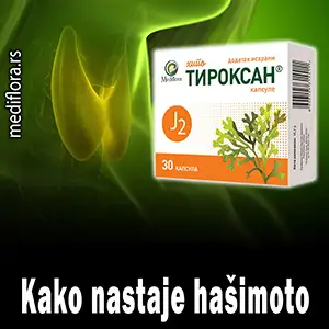 Hashimoto