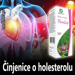 Holesterol